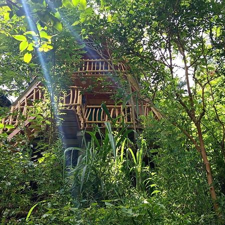 Eco Village Ella Εξωτερικό φωτογραφία