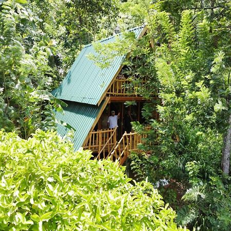 Eco Village Ella Εξωτερικό φωτογραφία