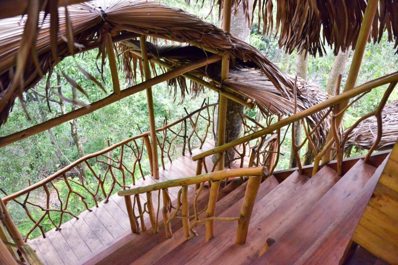 Eco Village Ella Εξωτερικό φωτογραφία
