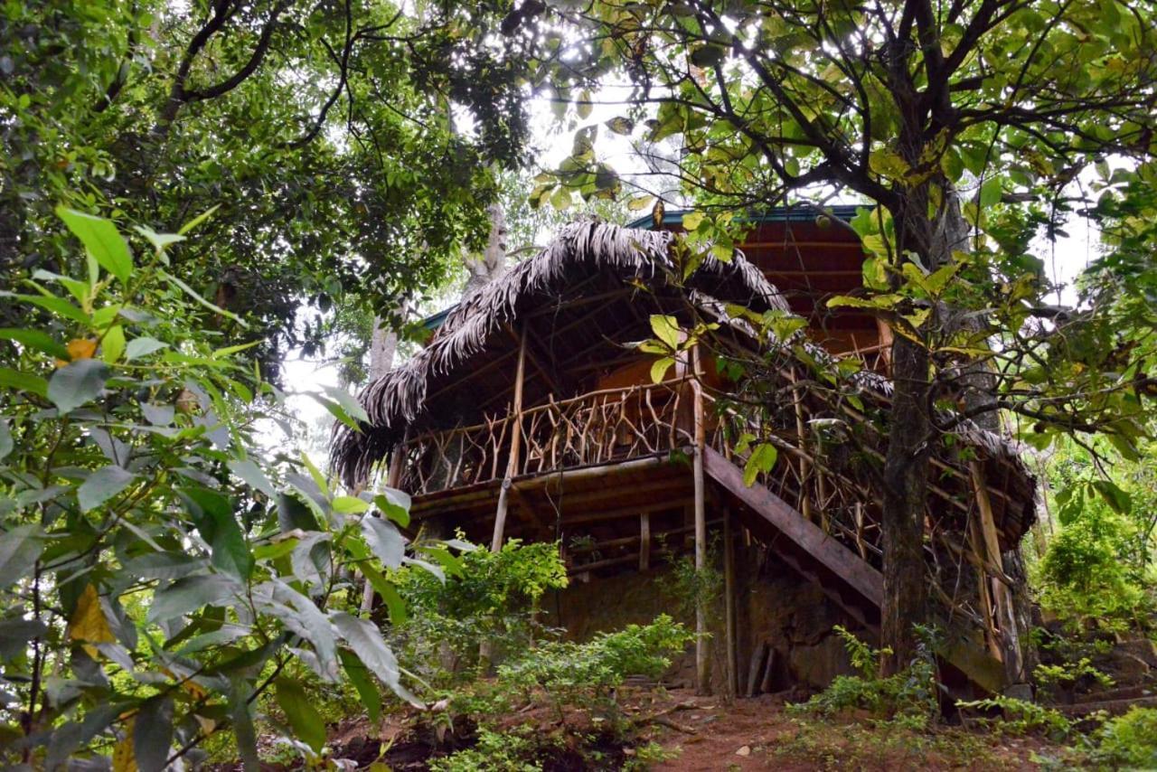 Eco Village Ella Εξωτερικό φωτογραφία