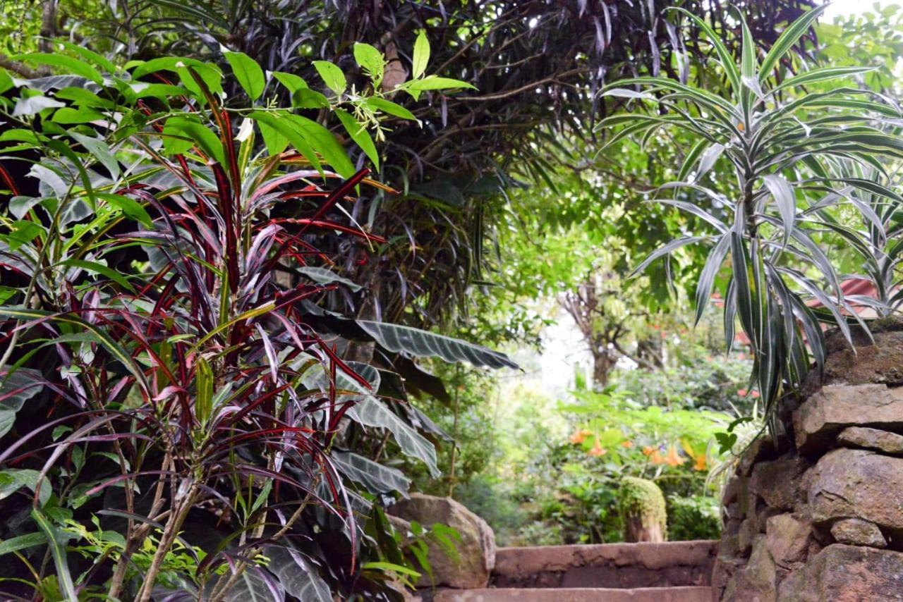 Eco Village Ella Εξωτερικό φωτογραφία