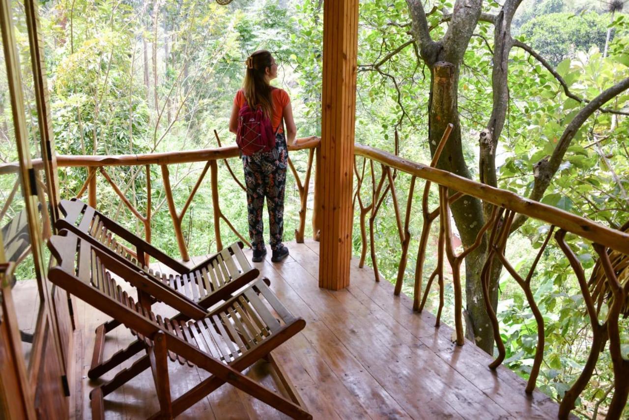 Eco Village Ella Εξωτερικό φωτογραφία