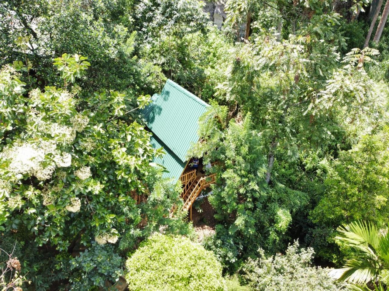 Eco Village Ella Εξωτερικό φωτογραφία