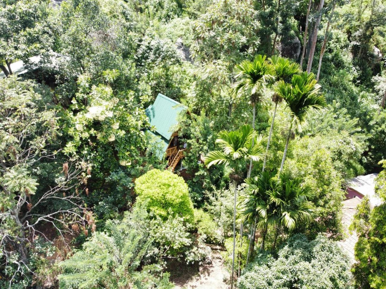 Eco Village Ella Εξωτερικό φωτογραφία
