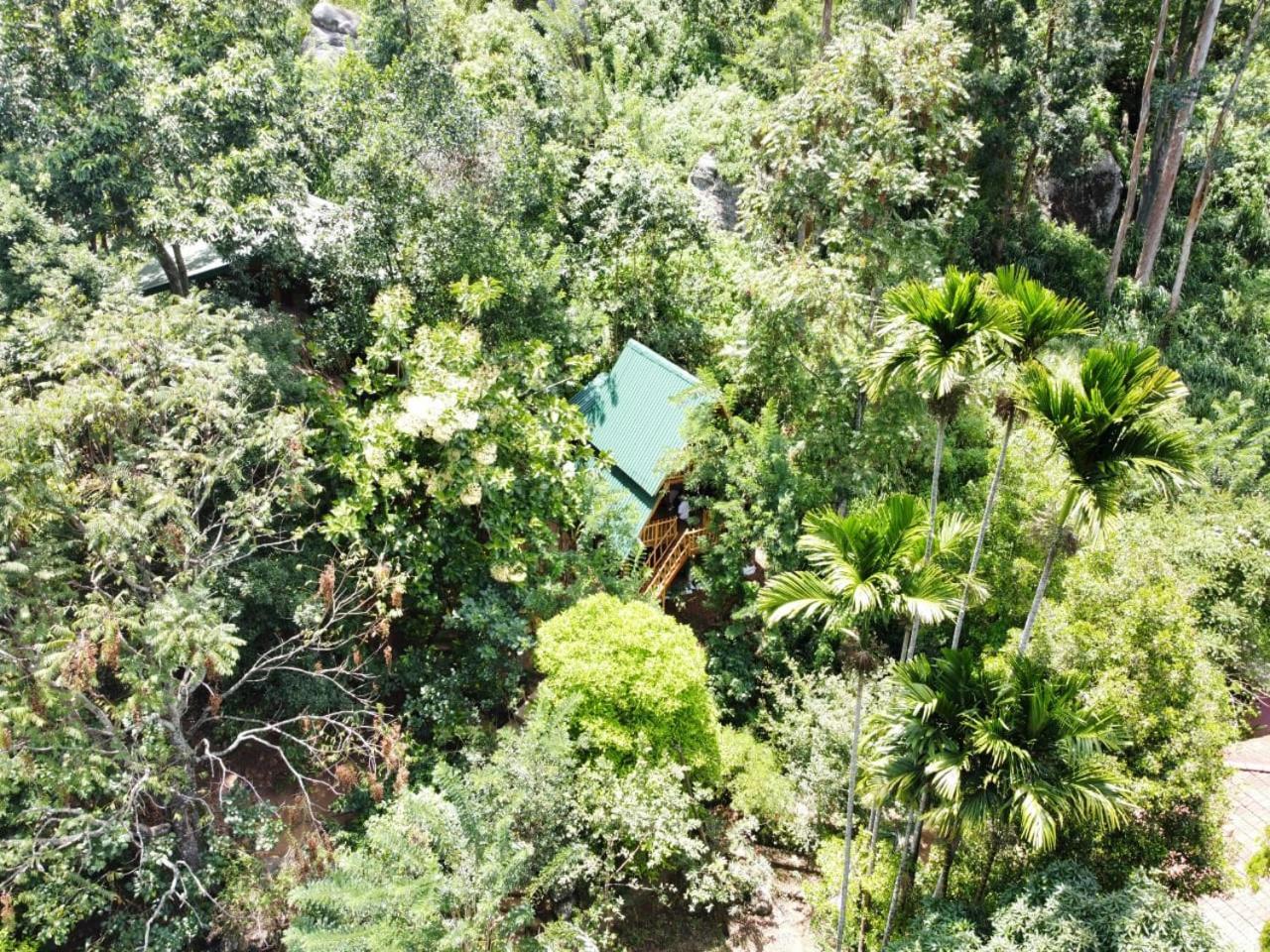 Eco Village Ella Εξωτερικό φωτογραφία