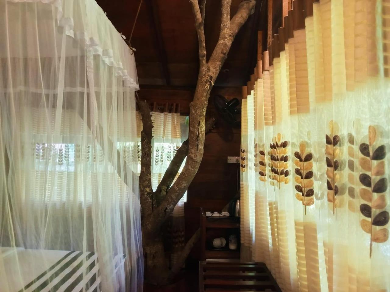 Eco Village Ella Εξωτερικό φωτογραφία