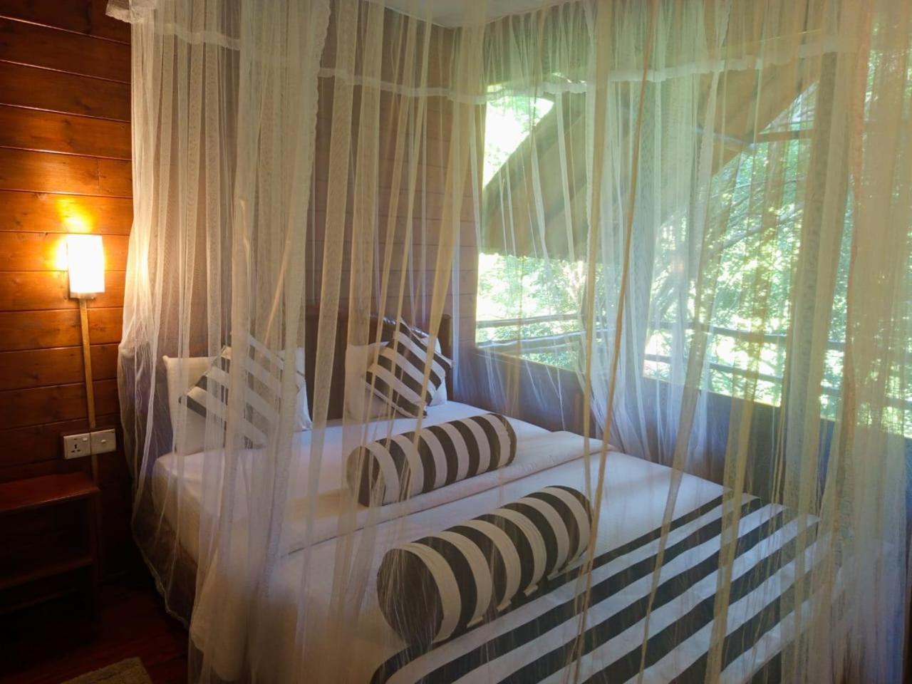 Eco Village Ella Εξωτερικό φωτογραφία